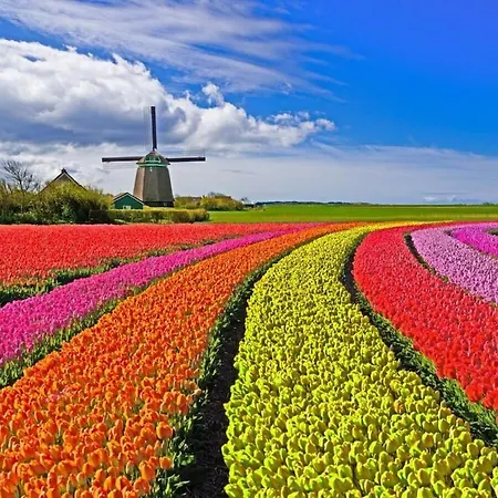 By The Water Broek op Langedijk
