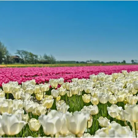度假居 By The Water Broek op Langedijk