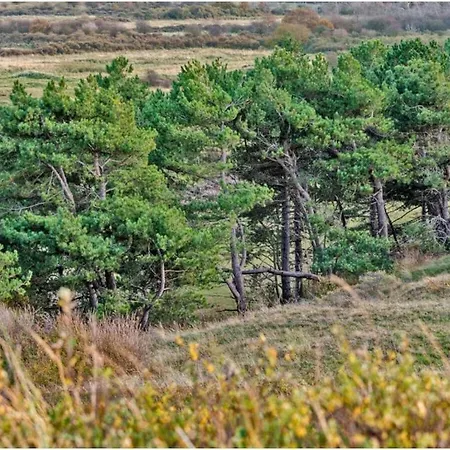 度假居 By The Water *