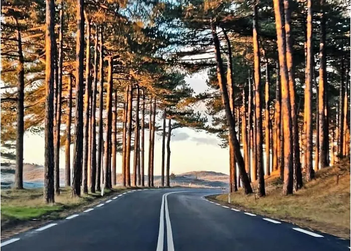 By The Water Vakantiehuis *