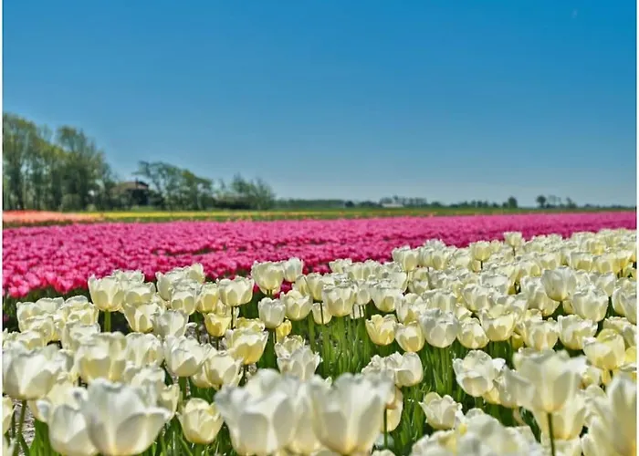 Vakantiehuis By The Water Broek op Langedijk
